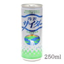 創健社 丹沢サイダー 250ml 　美味しい水のサイダー　炭酸水