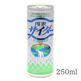 創健社 丹沢サイダー 250ml 　美味しい水のサイダー