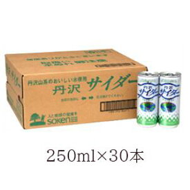 30本セット　創健社 丹沢サイダー 250ml 　美味しい水のサイダー