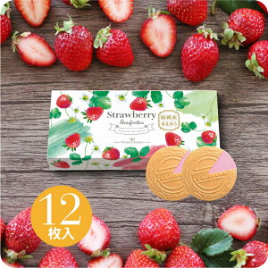 Ԍ ܂ v`Mtg XC[c َq v[g lߍ킹  Xgx[S[tbg12Zbg mَq Ăَq S[t season strawberry