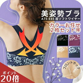 【スーパーSALE10％OFF】 2枚 セット 補正下着 補整下着 ブラジャー 美姿勢 ブラ 補正ブラ フロントホック ハミ肉 垂れ 猫背 ネコ背 脇高 脇肉 30代 40代 50代 60代 下着 背中クロス サポートブラ フロントオープン 姿勢 前開き 人気 funny 【公式】