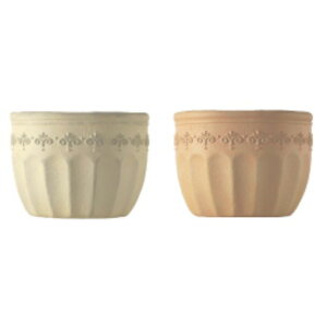 fB[YK[f v^[z_[TypeA@STCY