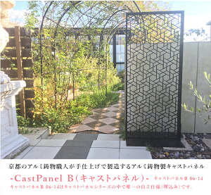 fB[YK[f/LXgplB 06-14iCastPanel-BjA~yfB[YK[fKX ЍHꐶYz