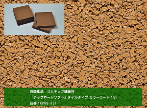 yl S`bvܑށz`bv[h\tg@^C^Cv@J[R[hF51@iԁFCPRS -T51@1P[X15@yܑށAS`bvܑށANbVܑ̂ށAc