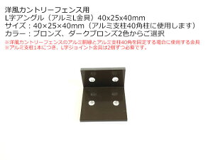 yiFLAOiA~Lj40x25x40mmAuY̓_[NuY炲Ii1jzmJg[tFXp1Pi