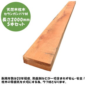 yVR؁EvȖ؁zZKoc 2000mm×5{Zbgyϋv ϐ n[hEbh oLC Hɂ S hܕsgp DIY؁z