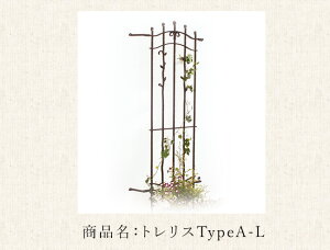 yAEgbgZ[E݌ɌpՐizgXTypeA-LiTrellisjPiށyǂ̃ANZgACe A܂K[fACe ȃ[gACAz