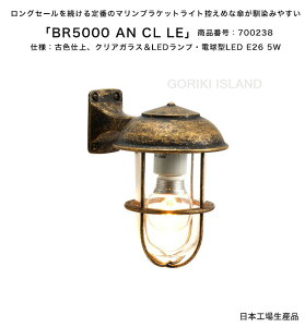 BR5000 AN CL LEiFFANjiԍF700238/dlFÐFdグANAKXLEDvEd^LED E26 5W S[LAChАi{Yjy^J}Cg v GNXeAƖ 