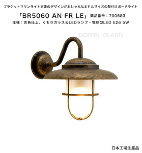 BR5060 AN FR LEiFFANjiԍF700683/dlFÐFdグAKXLEDvEd^LED E26 5W S[LAChАi{Yjy^J}Cg v GNXeAƖ 