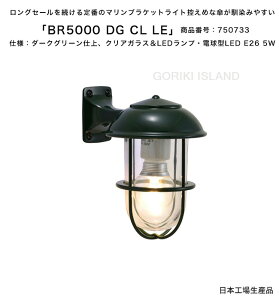 BR5000 DG CL LEiFFDGjiԍF750733/dlF_[NO[dグANAKXLEDvEd^LED E26 5W S[LAChАi{Yjy^J}Cg GNXeAƖ 