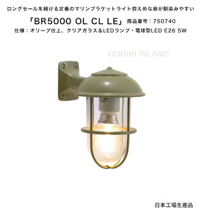 BR5000 OL CL LE(色:OL)商品番号:750740/仕様:オリーブ仕上げ、クリアガラス&LEDランプ・電球型LED E26 5W ゴーリキアイランド社製(日本生産)【真鍮製マリンライト ランプ エクステリア照明