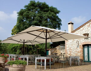 Jv5050yTCYF5m×5m/Capri5050ziɋp\ XRp\ scolaroj{Ap\x[XtiAJ[ŒI\j