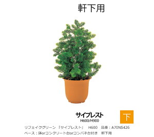 tFCNO[ uTCvXgvH600mm@iԁFA70NS426@x[XForRN[gorRplt@pyAAlHAAlH؁ATCvXgAO[xЁz