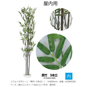 tFCNO[ u|i5{jvH1800mm@iԁFA70NT028@x[XForRN[gorRplt@pyAAlHAAlH؁A|AO[xЁz