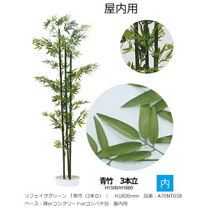 tFCNO[ u|i3{jvH1800mm@iԁFA70NT058@x[XForRN[gorRplt@pyAAlHAAlH؁A|AO[xЁz