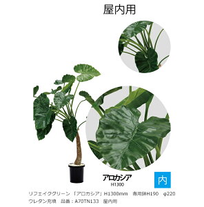 tFCNO[ uAJVAvH1300mm@pH190@220@E^[U@iԁFA70TN133@pyAAlHAAlH؁AAJVAAO[xЁz