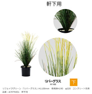 tFCNO[ uo[OXvH1100mm@pH190@220@RN[g[U@iԁFA70TN501@pyAAlHAAlH؁Ao[OXAO[xЁz