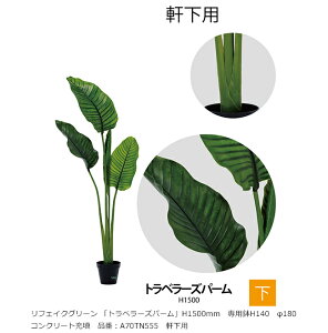 tFCNO[ ugx[Yp[vH1500mm@pH140@180@RN[g[U@iԁFA70TN555@pyAAlHAAlH؁Agx[Yp[AO[xЁz