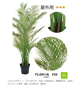 tFCNO[ uAJV@FUVvH1800mm@pH210@250@RN[g[U@iԁFA70TR125@OpyAAlHAAlH؁AAJVAO[xЁz