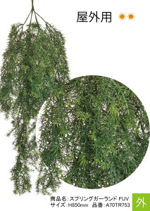 tFCNO[yXvOK[h FUVzTCYFH850mmAiԁFA70TR753AOpAK[hylHA O[xЁz