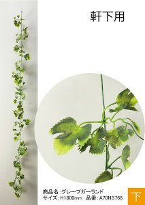 tFCNO[yO[vK[hzTCYFH1800mmAiԁFA70TR768AΉpAK[hylHA O[xЁz