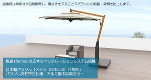 Xep`/p\xdlFA~ؖڒJ[Fi@\tjSTELLAyɋp\ ^Jmz