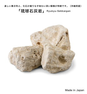 ΊDy1ܖ20kgzꌧYΊD iԁFES-ISIR-RKG TCYF100`200~O ȈՍƂȂ荕̓ŷ܂ɓĂ͂v܂y O  I bN hC