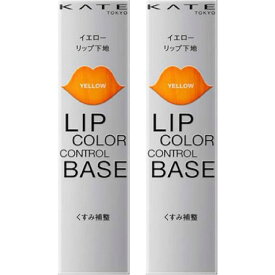 2個セット【即日発送・送料無料】KATE（ケイト）リップカラー コントロールベース EX-1（忍ばせイエロー） Kanebo（カネボウ）リップモンスター LIP MONSTER