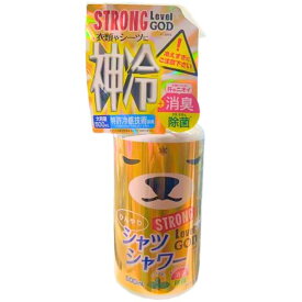 神冷 レベルGOD【2025NEW・送料無料】ひんやりシャツシャワー ストロング神冷　500ml　 ひんやりスプレー 冷たいスプレー 夏アイテム ストロングレベルMAX