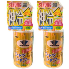 2個セット　神冷 レベルGOD【2025NEW】ひんやりシャツシャワー ストロング神冷　500ml　 ひんやりスプレー 冷たいスプレー 夏アイテム ストロングレベルMAX