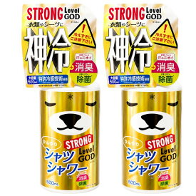 即日発送　2個セット　神冷 レベルGOD【2025NEW】ひんやりシャツシャワー ストロング神冷　500ml　 ひんやりスプレー 冷たいスプレー 夏アイテム ストロングレベルMAX