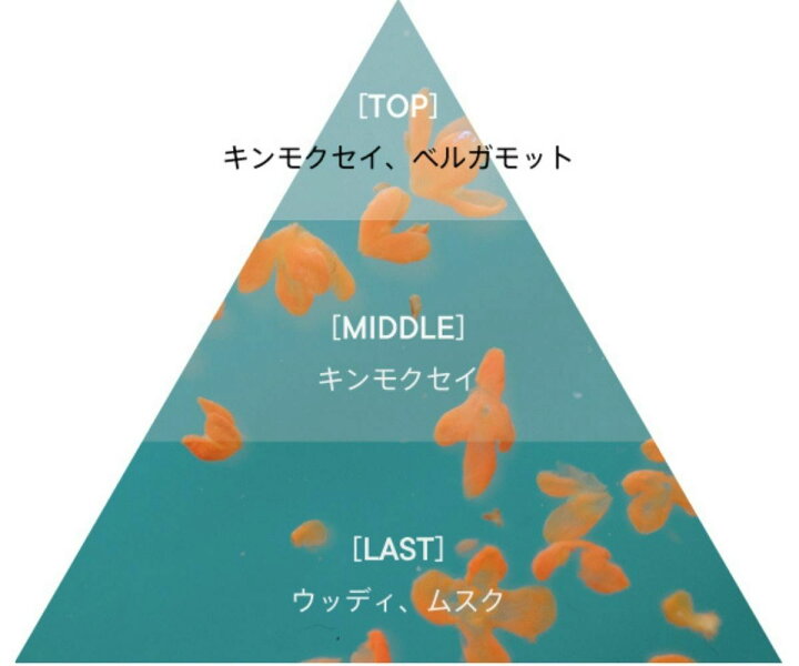 楽天市場 金木犀 Shiro シロ キンモクセイ オードパルファン 香水 オードパルファン Kinmokusei Eau De Parfum オスマンサス 東京ギフトガレージ