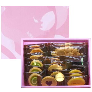 yN[֑I\ENbL[pCE17zBeRNE x NbL[pC w17x َq yY  䒆 ~tB[