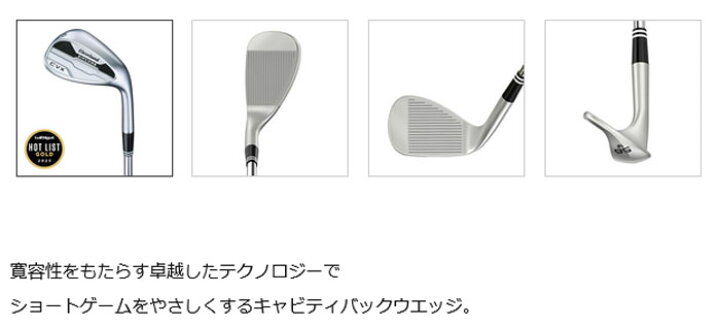 楽天市場】クリーブランドゴルフ Cleveland GOLF CVX ZIPCORE 