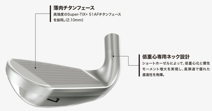 楽天市場】ゼクシオ12 アイアンセット 5本(#6〜9、PW) N.S.PRO 850GH 