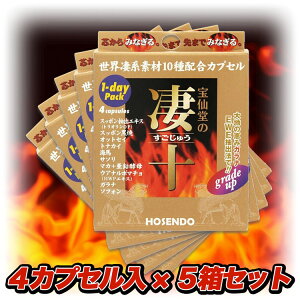 y[J[]i12OFFz哰 \ 1-daypbN 1DAYpbN イ fCpbN 4JvZ×5Zbg 1̂2Zbg܂ lR|X iƂ̓s