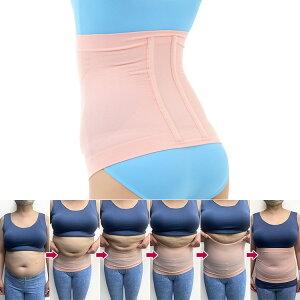 ���������l��S���C���T�|�[�^�[ ���� ��y �p�� ���� �w�ؐL�΂� �L�w �i�� �l�R�|�X�������� ��������ρE�������w��s��