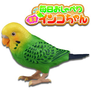TAKARA TOMY ^Jg~[ q[Op[gi[ ׂ V˃CR y  ybg  a 