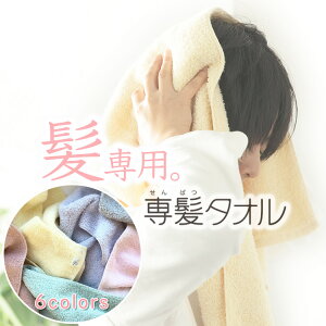 p ꔯ^I ͗z̃^IhC` ڂ^I z ɗD 炩 GRebNX {^jJ