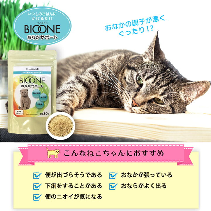 数量限定アウトレット最安価格 日本生物 科学研究所 ねこさぷり バイオワン おなかサポート Flyingjeep Jp