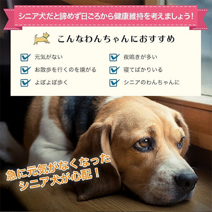 楽天市場 バイオワン めぐりサポート いぬさぷり 60g ペット 犬用健康補助 シニア犬 日本生物 科学研究所 元気 ネコポス送料無料 ポスト投函 配送日指定 代引決済不可 トキオライン楽天市場店