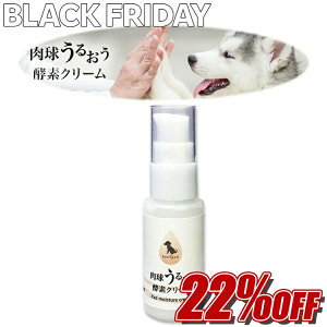 yBLACKEFRIDAYʏ퉿i22%OFFz邨yfN[ {.Ȋw p \h