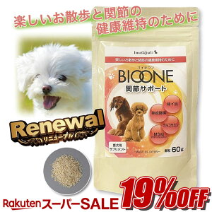 yyVX[p[SALEJÁ]i19%OFFzoCI ֐߃T|[g j[A ʂՂ 60g  ybg pN⏕ Tvg VjA {.Ȋw C lR