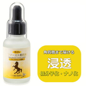 楽天市場 クインビーハッピーの通販