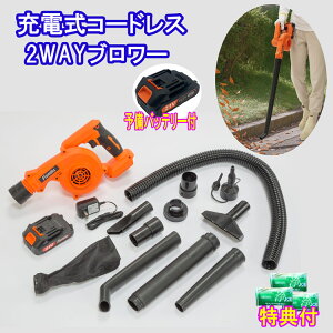 t@~[Ct @[dR[hX2WAYu[ \obe[t@t@~@JOE30g×3Tt