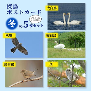T|XgJ[h ~ 5Zbg ͂Zbg  5 쒹 ʐ^ ͂ t IInN`E  nC^J  RunN`E IWr^L tNE  qi Ђ V x
