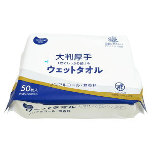 yȃZbg̔zTSUBASA EFbg^I 20×30cm 唻^Cv  AGGLXz ĝ mAR[  50