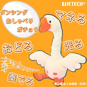 ̂I_VO K`E@^@@x@^@tł@@a@v[g@Mtg@̂܂ NX}X