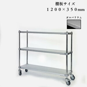 yPROFACEzKoE VFtS 3i S LX^[t 105cm s35cm