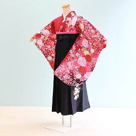 【レンタル】小学生 袴 レンタル 女の子【JG0004】【赤・ぼたん/桜|黒/桜・刺繍】【12歳〜13歳】卒業式/ジュニア袴/卒業袴/七五三/十三参り